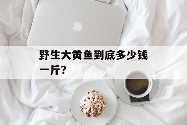 野生大黄鱼到底多少钱一斤?-第1张图片- 野生大黄鱼到底多少钱一斤?-第1张图片-