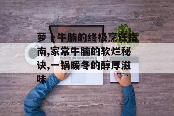 萝卜牛腩的终极烹饪指南,家常牛腩的软烂秘诀,一锅暖冬的醇厚滋味-第1张图片-