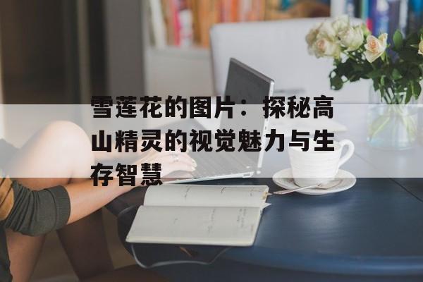雪莲花的图片:探秘高山精灵的视觉魅力与生存智慧-第1张图片- 雪莲花的图片:探秘高山精灵的视觉魅力与生存智慧-第1张图片-