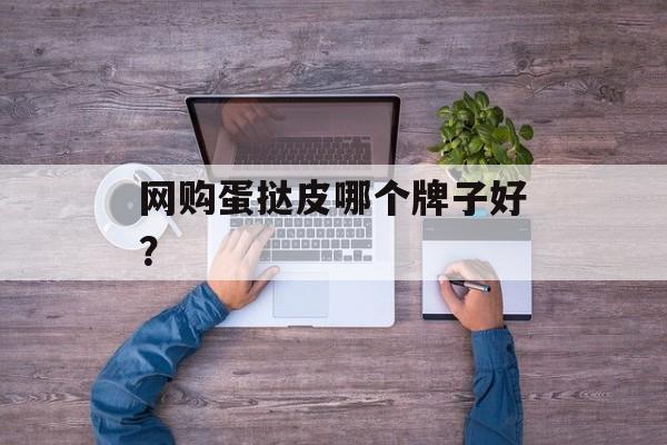 网购蛋挞皮哪个牌子好？-第1张图片-