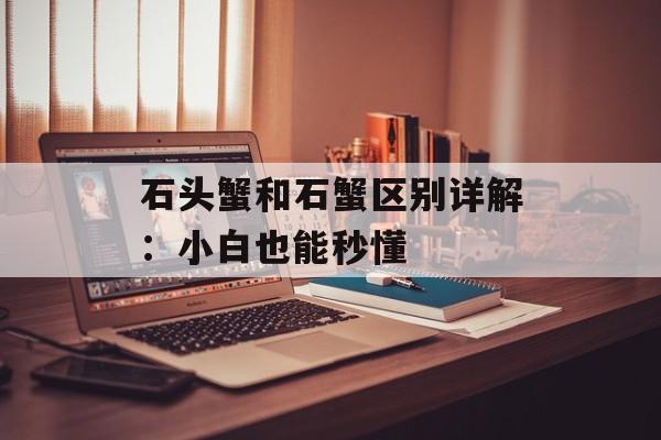 石头蟹和石蟹区别详解：小白也能秒懂-第1张图片-