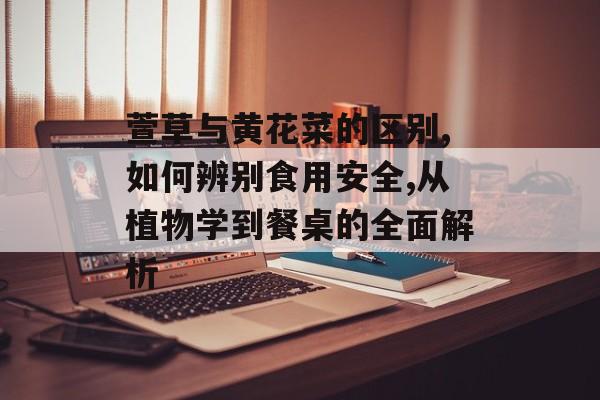 萱草与黄花菜的区别,如何辨别食用安全,从植物学到餐桌的全面解析-第1张图片-