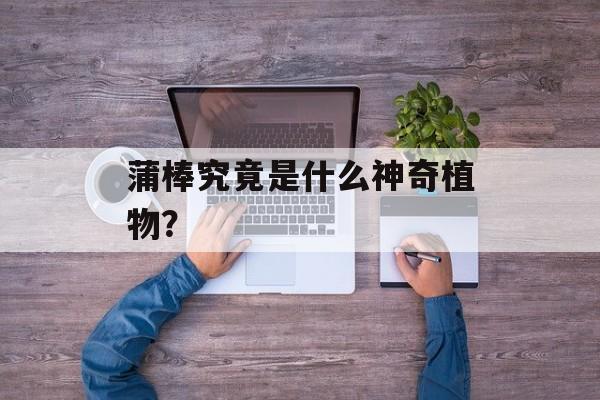 蒲棒究竟是什么神奇植物？-第1张图片-