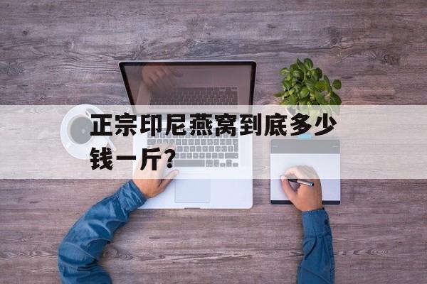 正宗印尼燕窝到底多少钱一斤？-第1张图片-