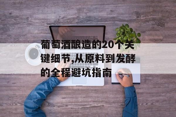 葡萄酒酿造的20个关键细节,从原料到发酵的全程避坑指南-第1张图片-